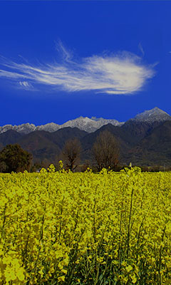 騰沖獎(jiǎng)勵(lì)旅游活動(dòng)策劃方案書(shū)