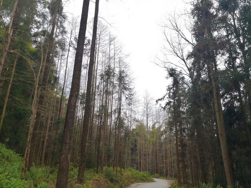 騰沖戶外徒步拓展訓練場地推薦--玉璧古道