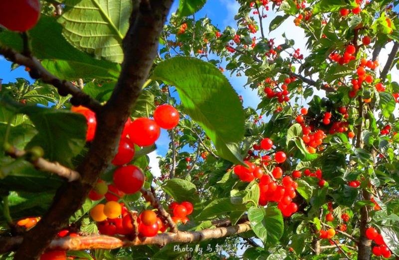 騰沖戶外培訓徒步訓練尋寶類拓展場地推薦：騰沖新岐古鎮(zhèn)拓展培訓基地