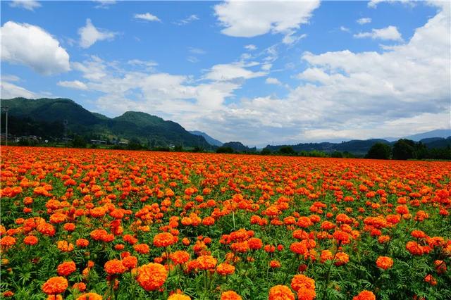 騰沖徒步路線馬拉松賽道