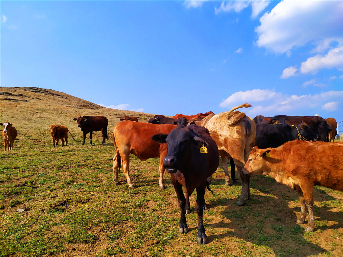 騰沖戶外徒步路線