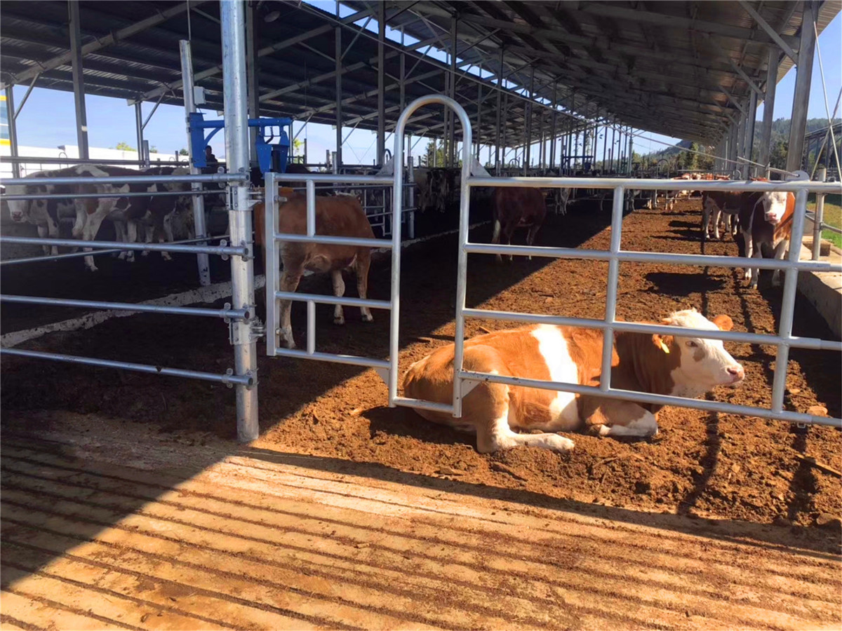 騰沖戶外徒步路線