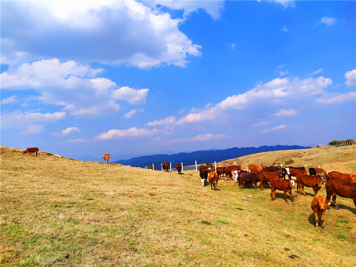 騰沖戶外徒步路線
