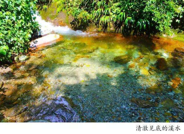 騰沖高黎貢山徒步之五道溪徒步