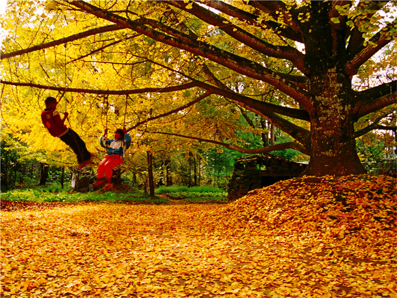 云南騰沖自駕游去哪好玩?5個騰沖2-3天自駕游必去景點推薦