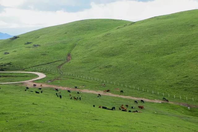 放緩腳步，看看風(fēng)景再趕路 | 騰沖東山草原燒烤游覽