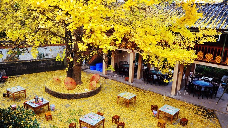 遇見(jiàn)最美秋天！云南騰沖深度三日游，這么玩就對(duì)了！