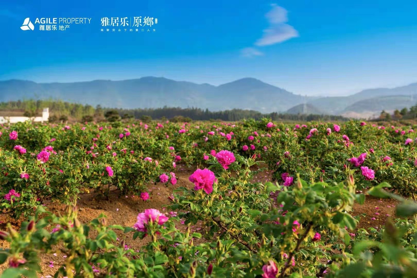 騰沖雅居樂原鄉(xiāng)棲花嶺景區(qū)