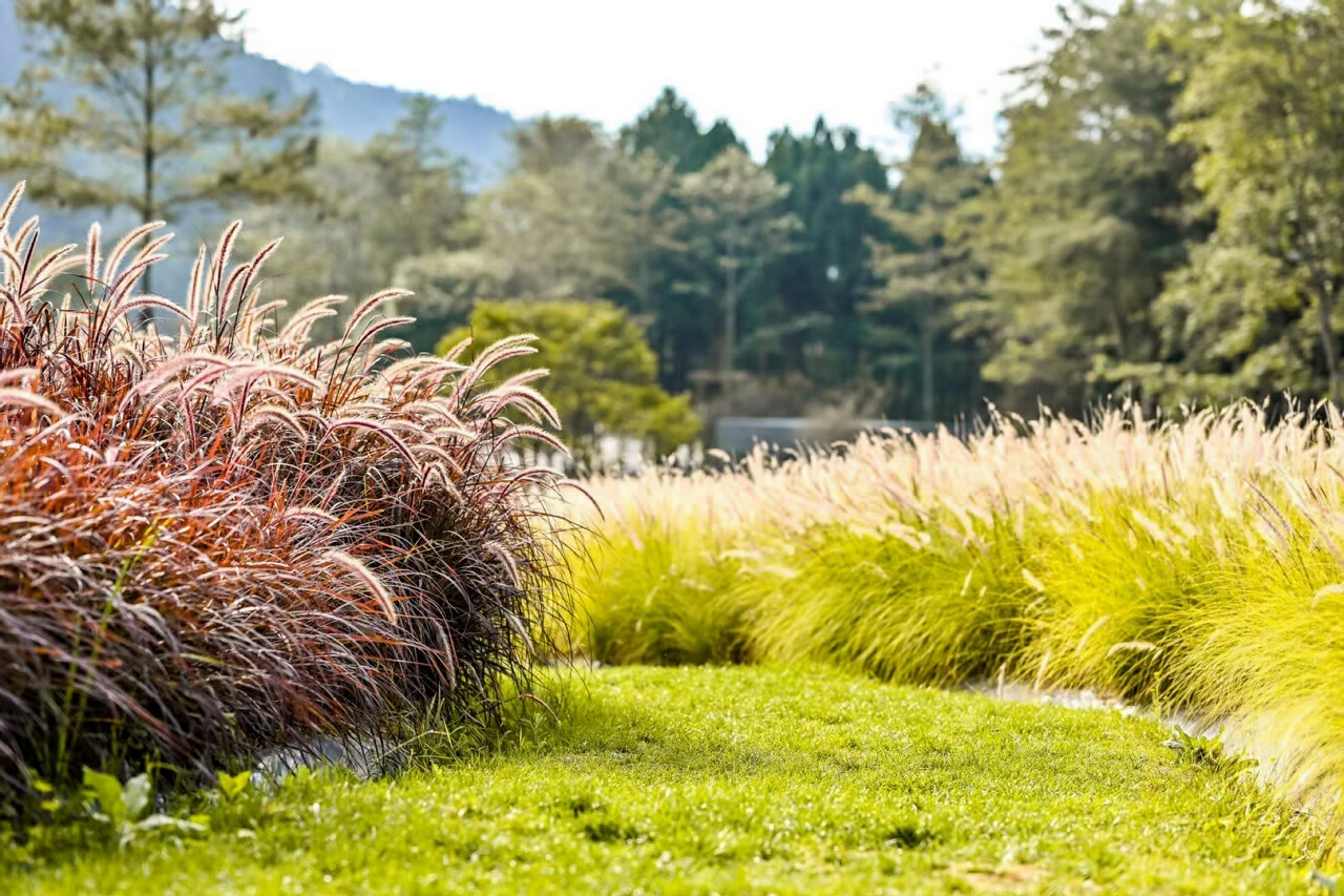 騰沖歸云莊戶外拓展基地
