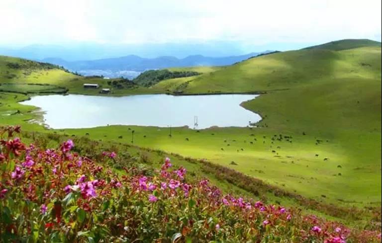 騰沖的歷史印記——天上草原、玉壁古道，戶外徒步旅行