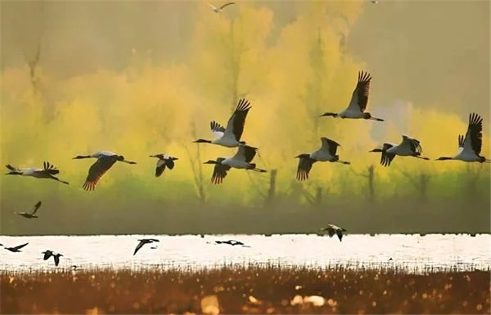 騰沖旅游包車游攻略，天行旅行租車公司--騰沖專業(yè)的汽車租賃公司