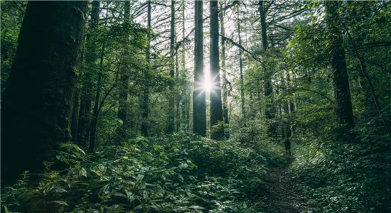 騰沖旅游 騰沖旅游