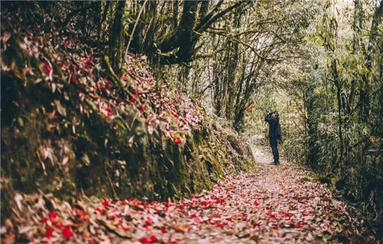 騰沖景區(qū)景點(diǎn)