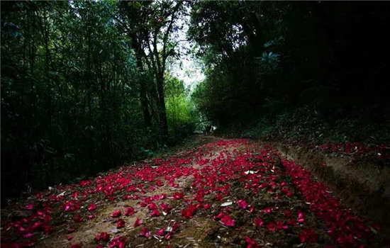 騰沖景區(qū)景點(diǎn)