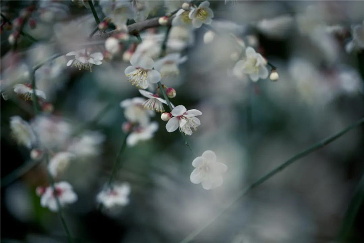 騰沖景區(qū)景點(diǎn)