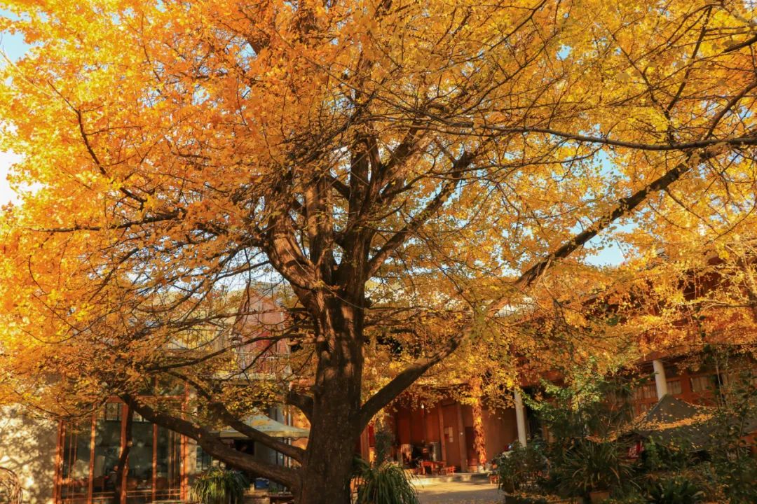 騰沖會(huì)議酒店