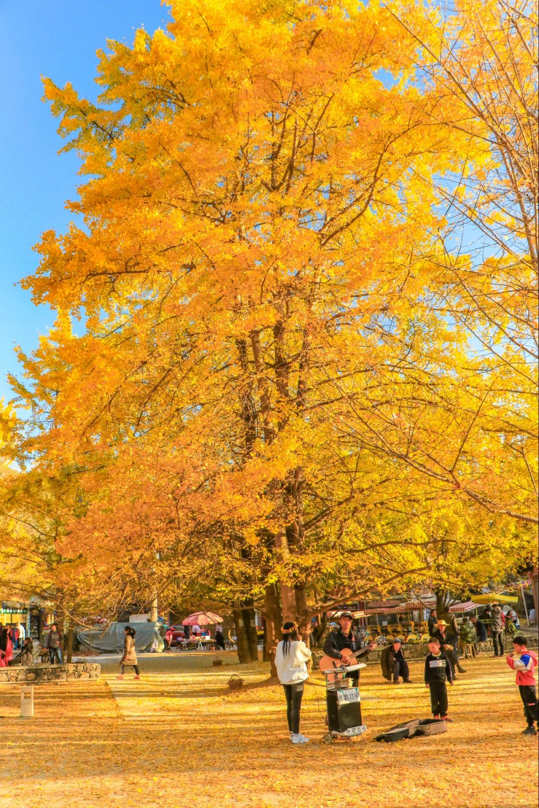 騰沖會(huì)議酒店