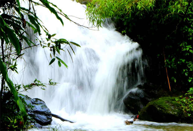 有一種叫云南的生活｜來騰沖市猴橋野生菌交易會(huì)開啟美味之旅