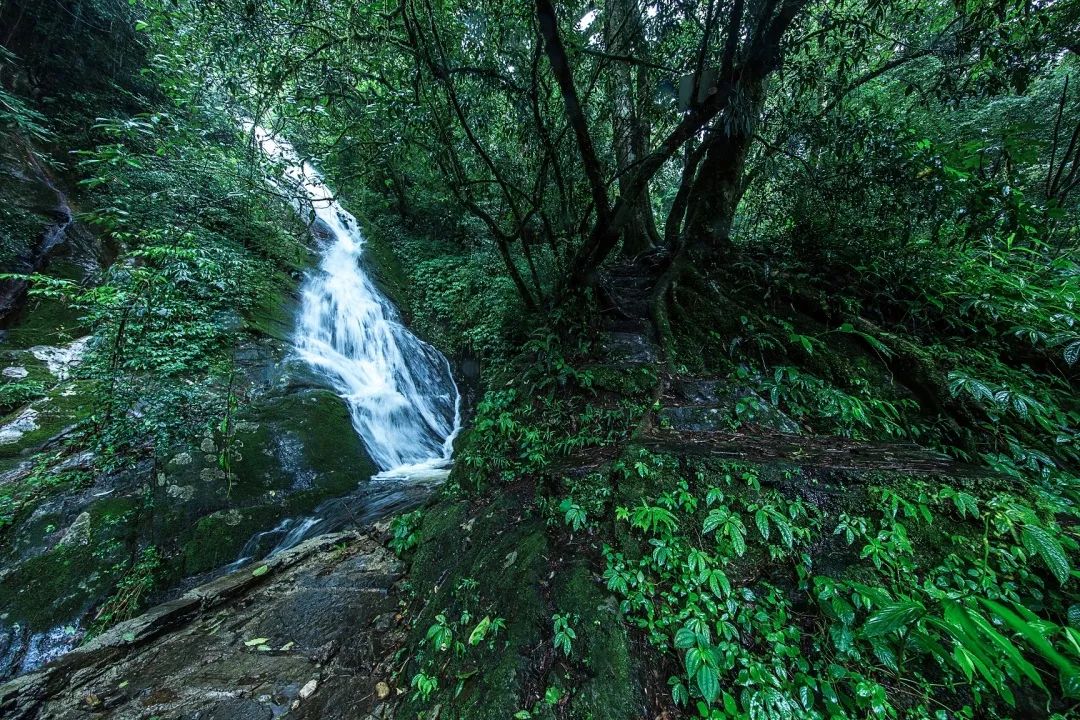 騰沖旅行社徒步