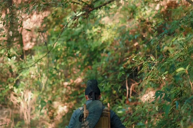 云南旅游,云南旅行社,云南團建公司,云南策劃公司,云南會議會展,騰沖旅游,騰沖旅行社,騰沖團建公司,騰沖策劃公司,騰沖會議會展：跟著徐霞客游騰沖 ▏寶峰山：探尋386年前的山林秘境！