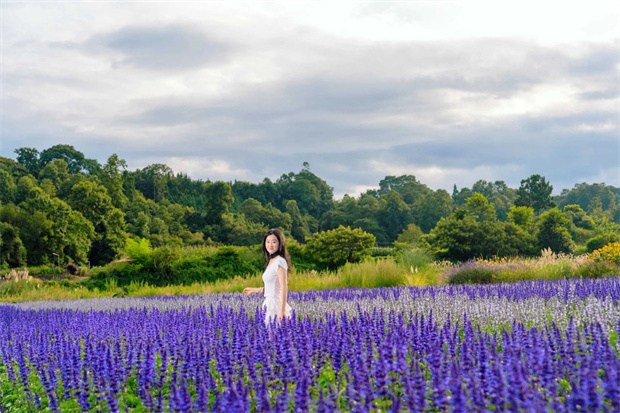 云南旅游,云南旅行社,云南團建公司,云南策劃公司,騰沖旅游,騰沖旅行社,騰沖團建公司,騰沖策劃公司：初秋，到騰沖聆聽花園與大自然的合影